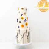 Pensées Déshydratées et Pressées