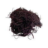 Nemalion helminthoïdes