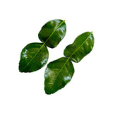 Feuilles de Combava (Lime Kaffir)