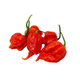 Piment Carolina Reaper