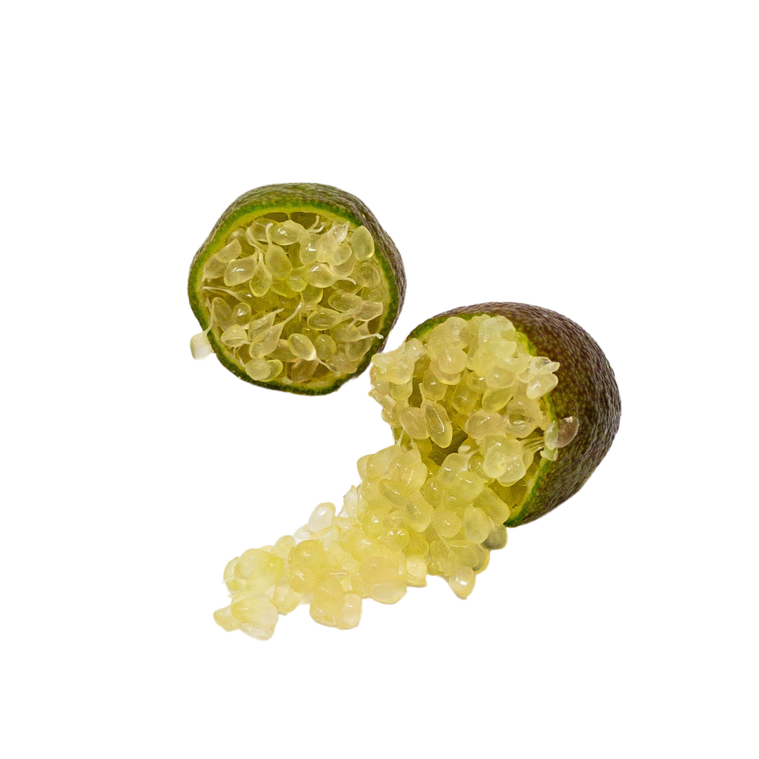 Lima Caviar