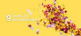 9 anos de Microgreens