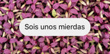 "SOIS UNOS MIERDAS"
