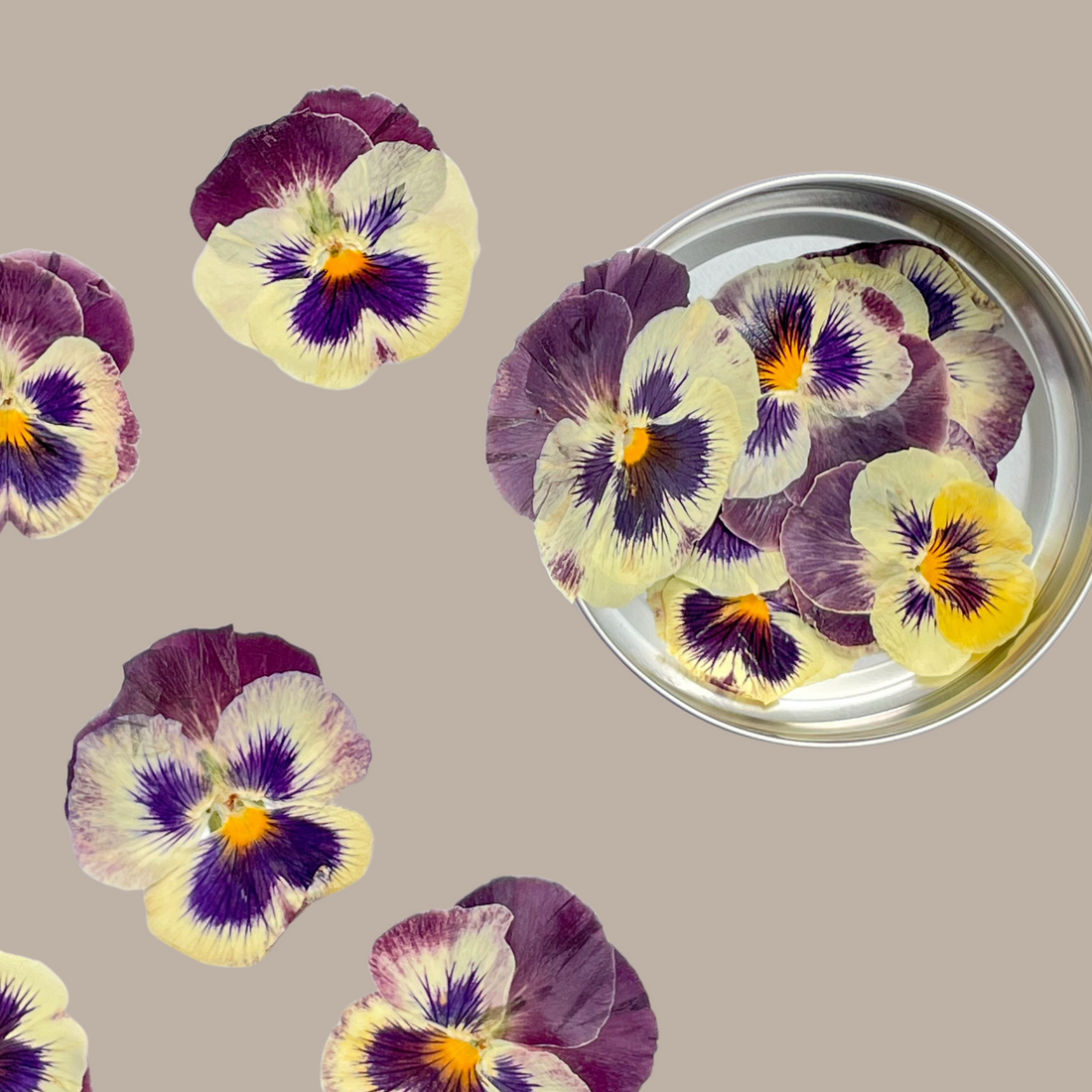 Flores Comestíveis Desidratadas