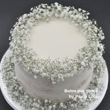 Gypsophila