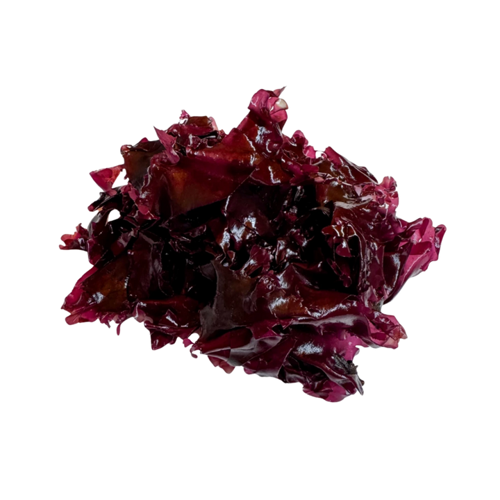Alga Dulse