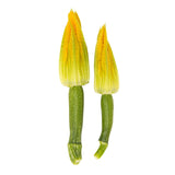 Mini Zucchini with Flower