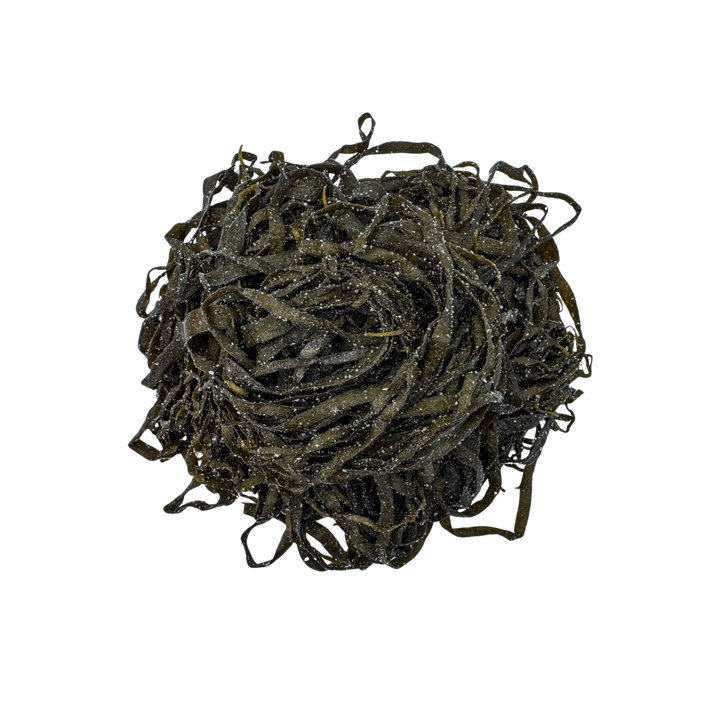 Alga Espagueti de Mar