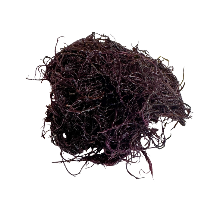 Sea hair