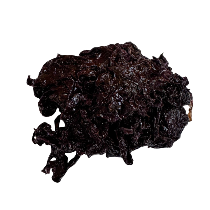 Alga Lava