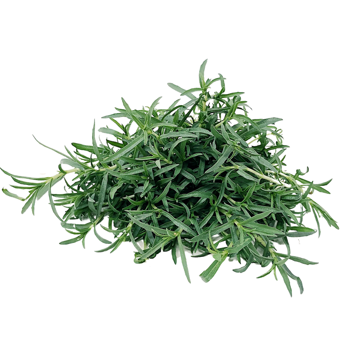 Cervina Mint