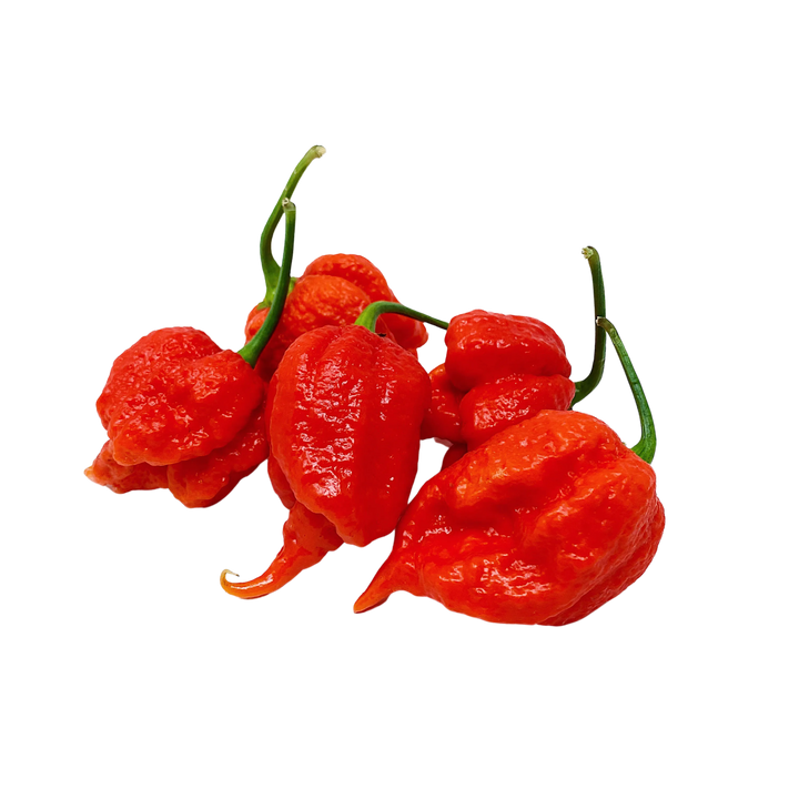 Malagueta Carolina Reaper