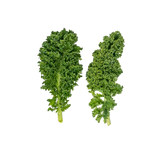 Mini Green Kale