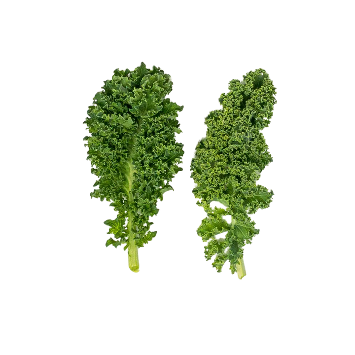 Mini Chou Kale Vert