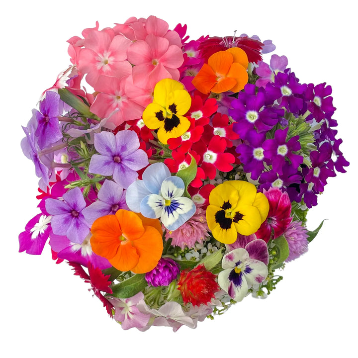 Mini Fleurs Mix