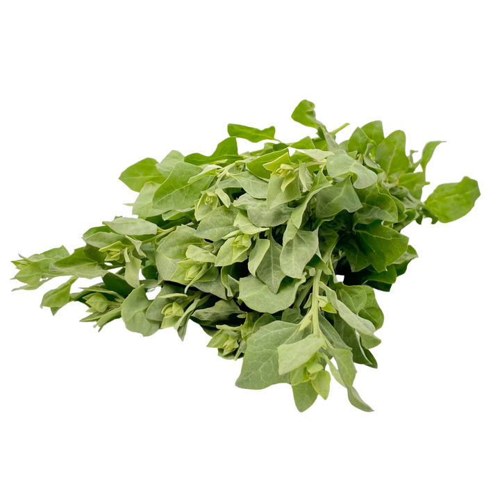 Saltbush