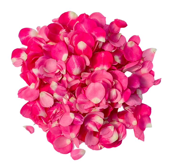 Pétales de Rose