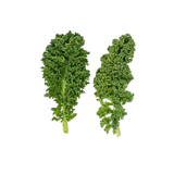 Mini Couve Kale Verde