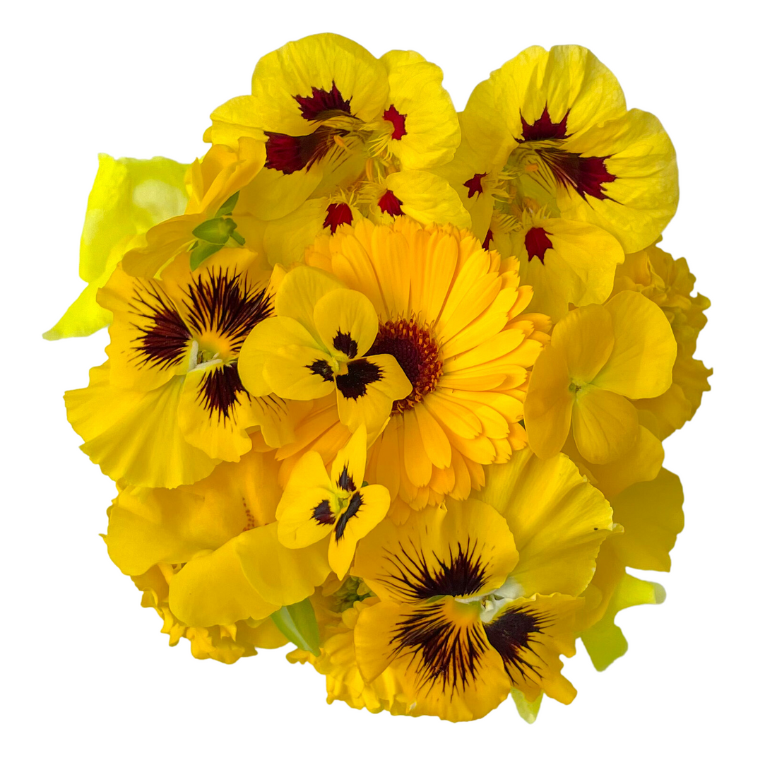 Flores Mix