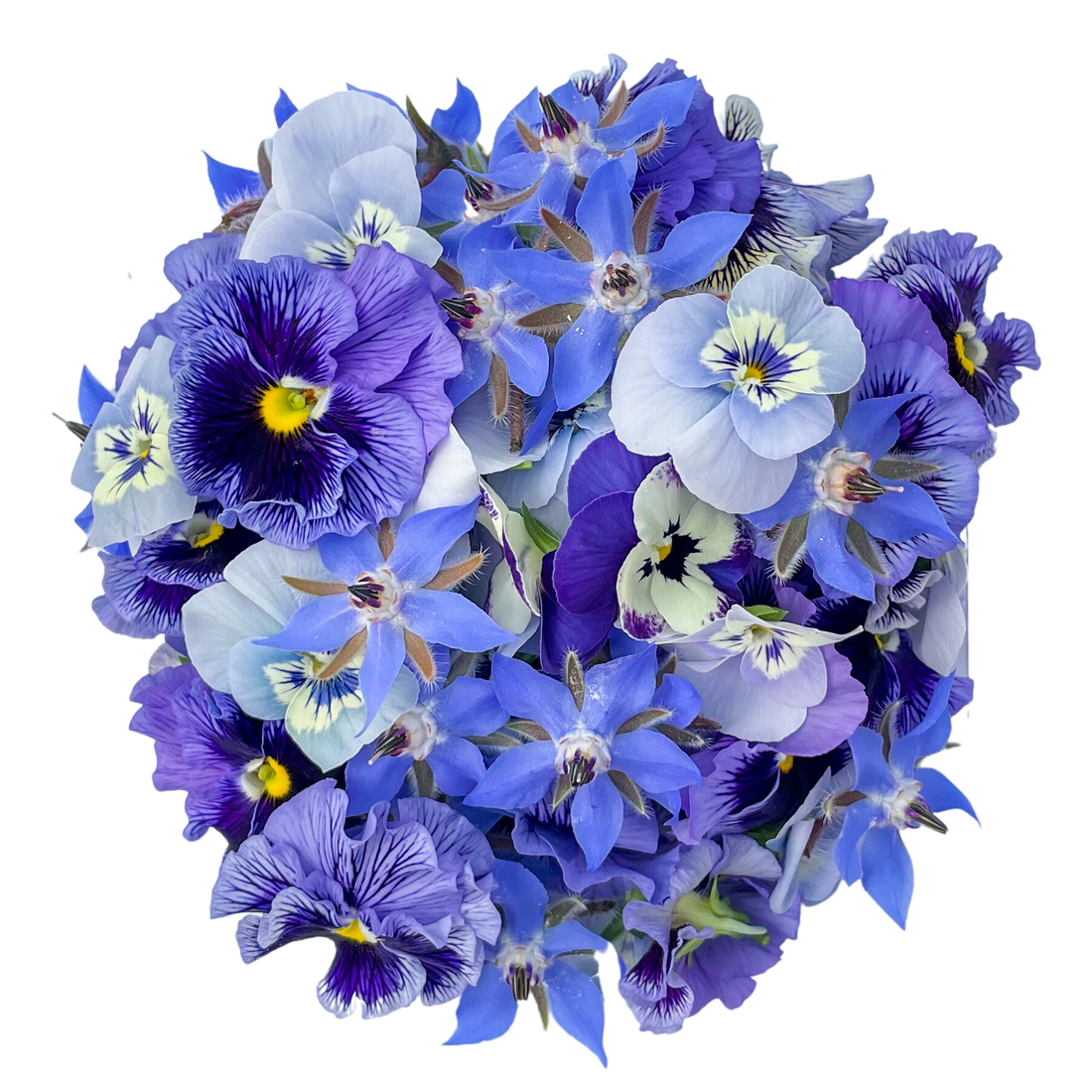 Flores Mix